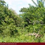 Mountain land in Unawatuna.