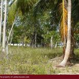 Beach Land in Tangalla area (150 perch)