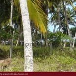 Beach Land in Tangalla area (150 perch)