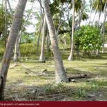 Beach Land in Tangalla area (150 perch)