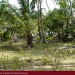 Beach Land in Tangalla area (150 perch)