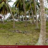 Beach Land in Tangalla area