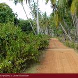 Beach Land in Tangalla area