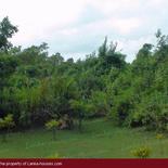Beach Land in Tangalla area
