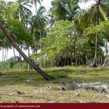 Beach Land in Tangalla area