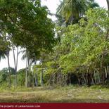 Beach Land in Tangalla area