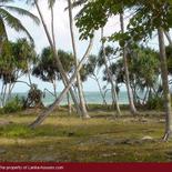 Beach Land in Tangalla area