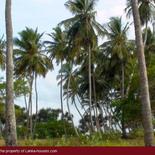 Beach Land in Tangalla area