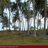 Beach Land in Tangalla area (1,5 acre)