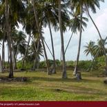 Beach Land in Tangalla area (1,5 acre)