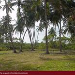 Beach Land in Tangalla area (1,5 acre)