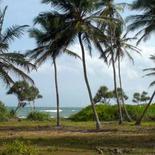 Beach Land in Tangalla area (1,5 acre)