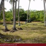 Beach Land in Tangalla area (1,5 acre)