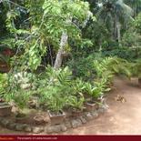SUGATHAPALA House
