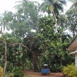 SUGATHAPALA House