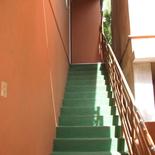 Lucky House