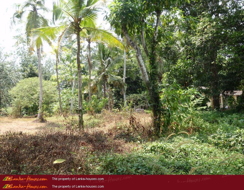 Land on the lake in Panadura, Panadura, Kalutara, West, Sri Lanka ...