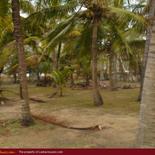 Beach Land with house