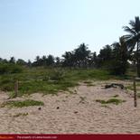 Beach property in Nilaveli