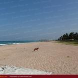 Beach property in Nilaveli