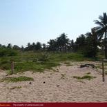 Beach property in Nilaveli