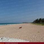 Beach property in Nilaveli