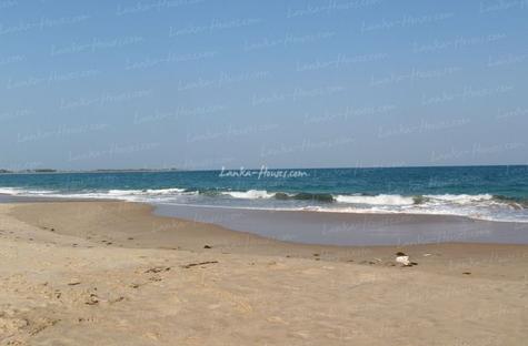 Beach property in Kalkuda beach