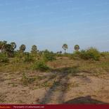 Beach property in Kalkuda beach