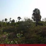 Beach property in Kalkuda beach