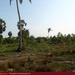 Beach property in Kalkuda beach