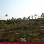 Beach property in Kalkuda beach