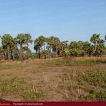 Beach property in Kalkuda beach