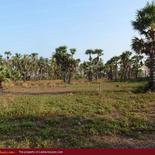 Beach property in Kalkuda beach