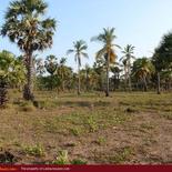 Beach property in Kalkuda beach