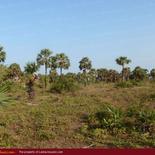 Beach property in Kalkuda beach