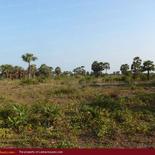 Beach property in Kalkuda beach