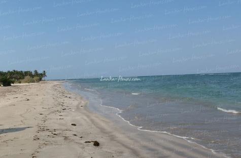 Huge beach land for sale in Pasicuda