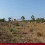 Huge beach land for sale in Pasicuda