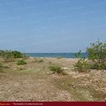 Huge beach land for sale in Pasicuda