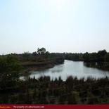Huge beach land for sale in Pasicuda
