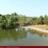 Huge beach land for sale in Pasicuda