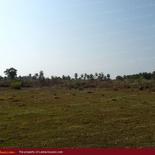 Huge beach land for sale in Pasicuda