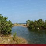 Huge beach land for sale in Pasicuda