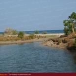 Huge beach land for sale in Pasicuda