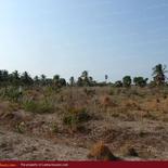Huge beach land for sale in Pasicuda