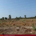 Huge beach land for sale in Pasicuda