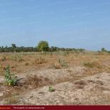 Huge beach land for sale in Pasicuda