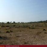 Huge beach land for sale in Pasicuda