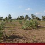 Beach land in Nilaveli with very wide beach.
