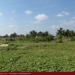 Beach land in Nilaveli with very wide beach.